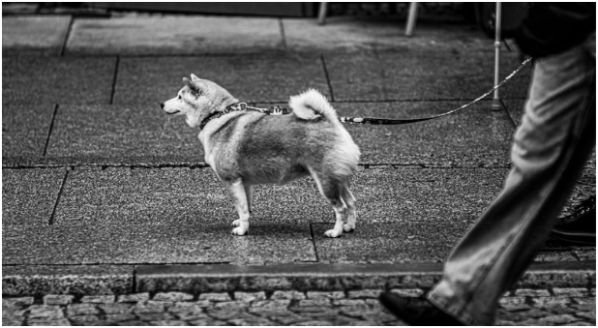 What Should You Know Before You Start This Business?