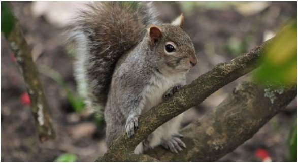 What Barriers Actually Stop Them? 