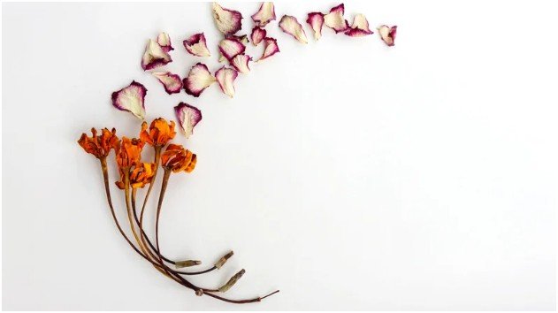 Why does knowing how to dry flowers properly matter?