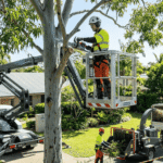 What Should You Know Before Hiring a Professional Tree Care Service in 2026